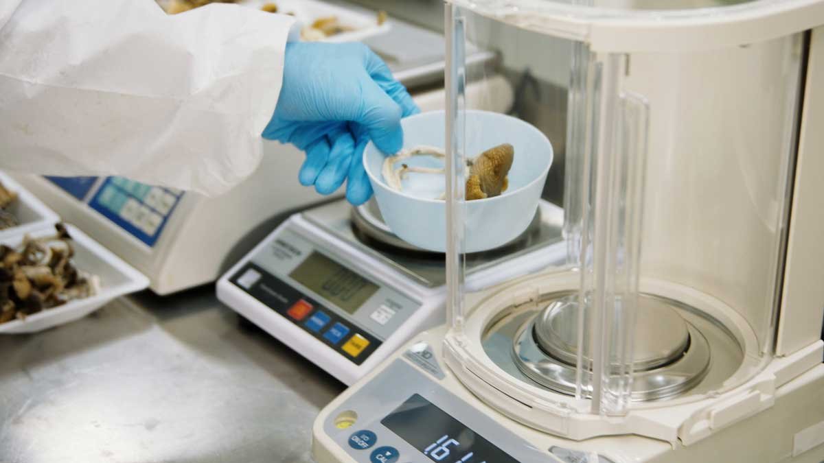 Purpose, People, Profits